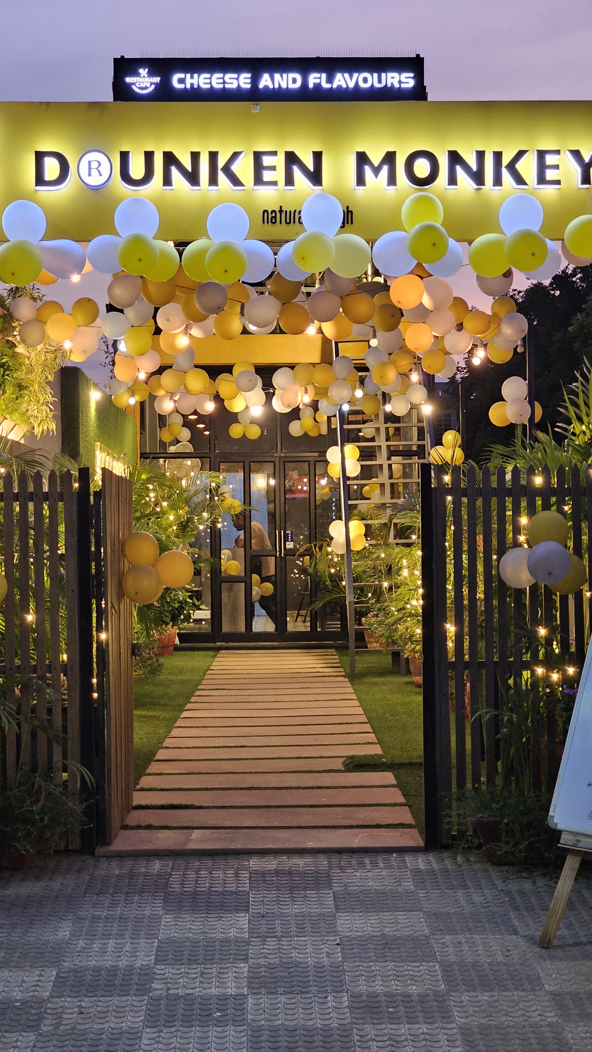 Cheese N Flavours x Drunken Monkey - Pet-Friendly Café in Jaipur