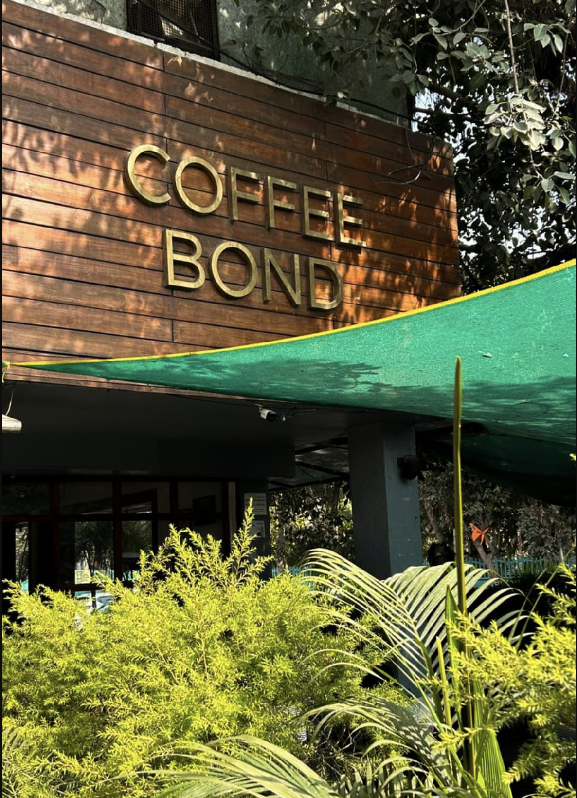 Coffee Bond - Pet-Friendly Café in Noida