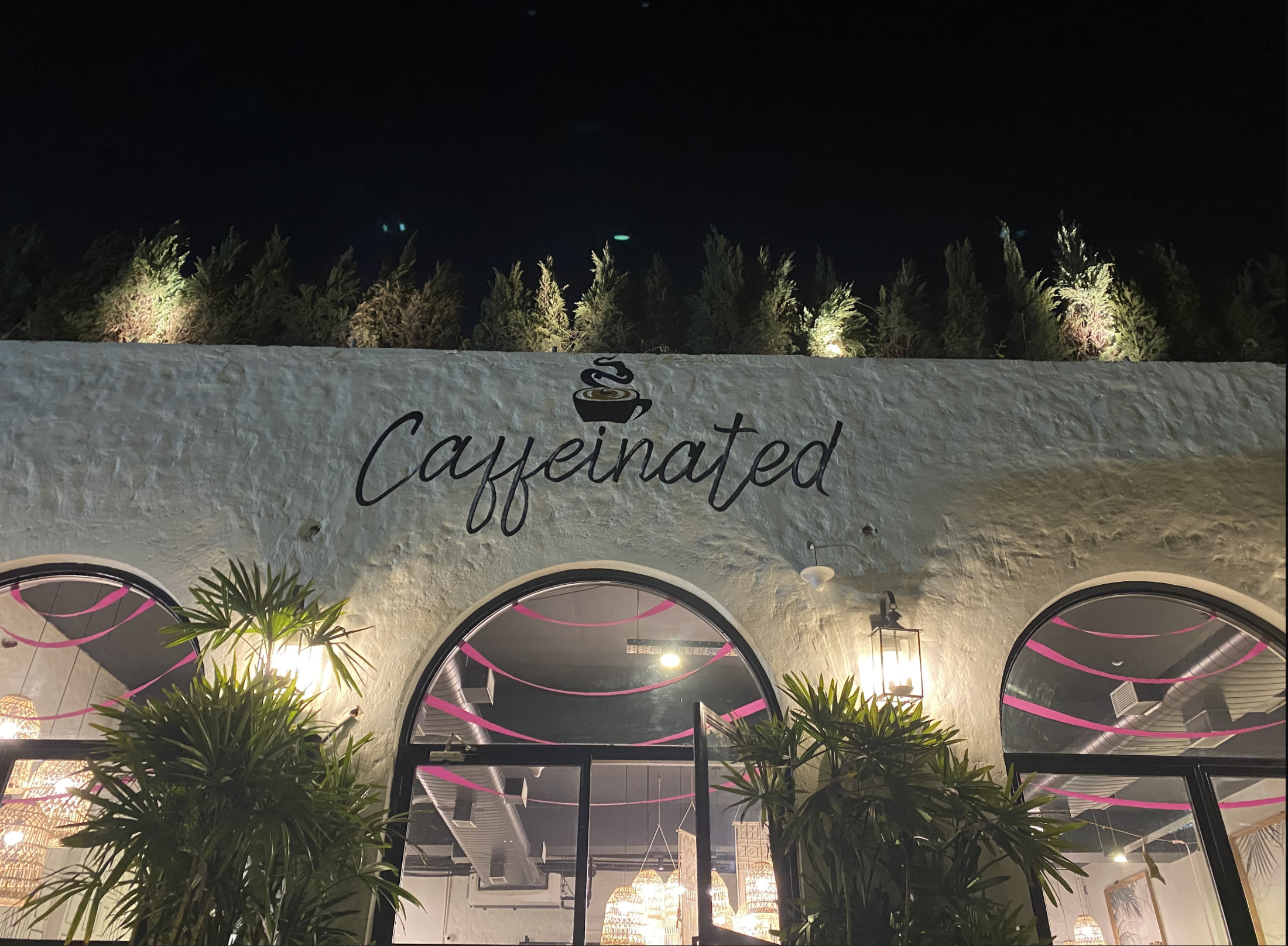 Café Caffeinated - Pet-Friendly Café in Noida