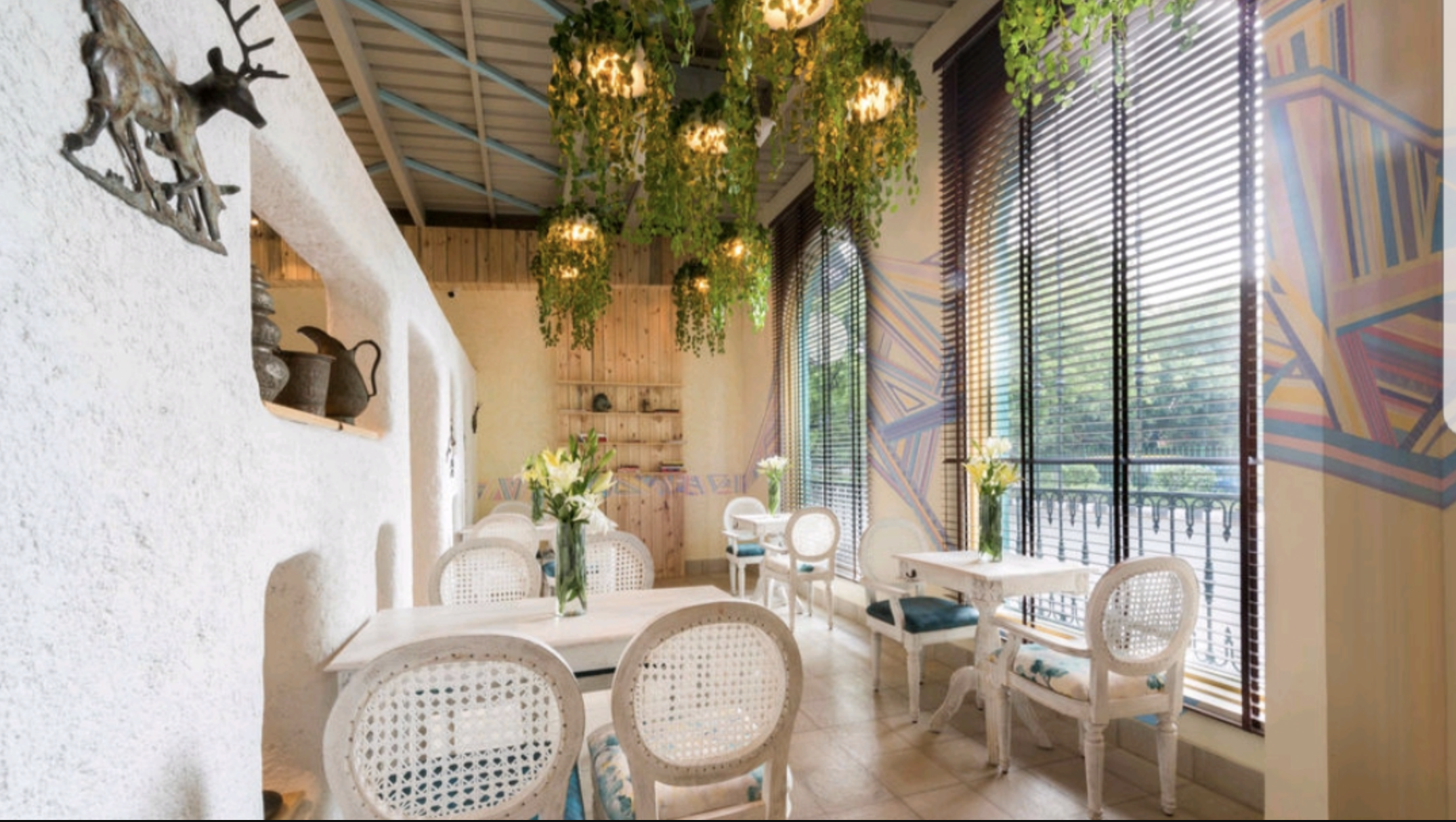 Cafe Tesu - Pet-Friendly Café in New Delhi