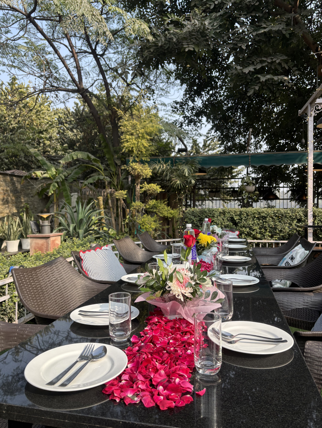 Woodland Affairs - Pet-Friendly Café in New Delhi