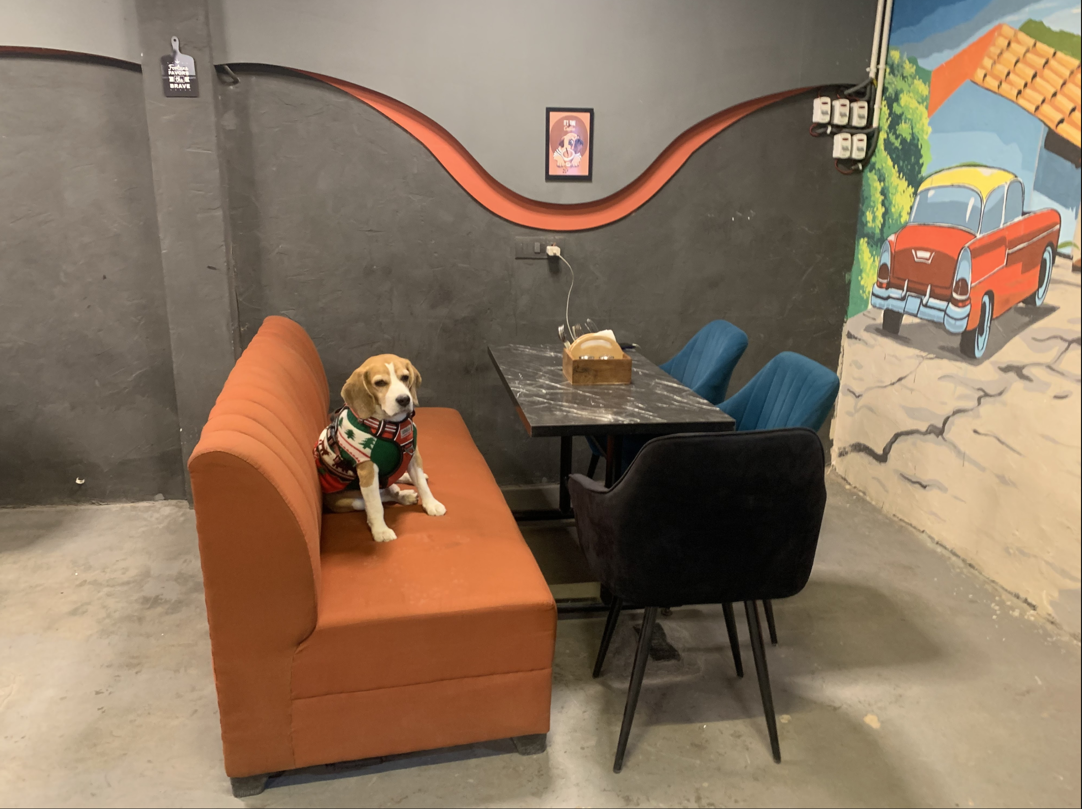 Alpha The Cafe - Pet-Friendly Café in Noida