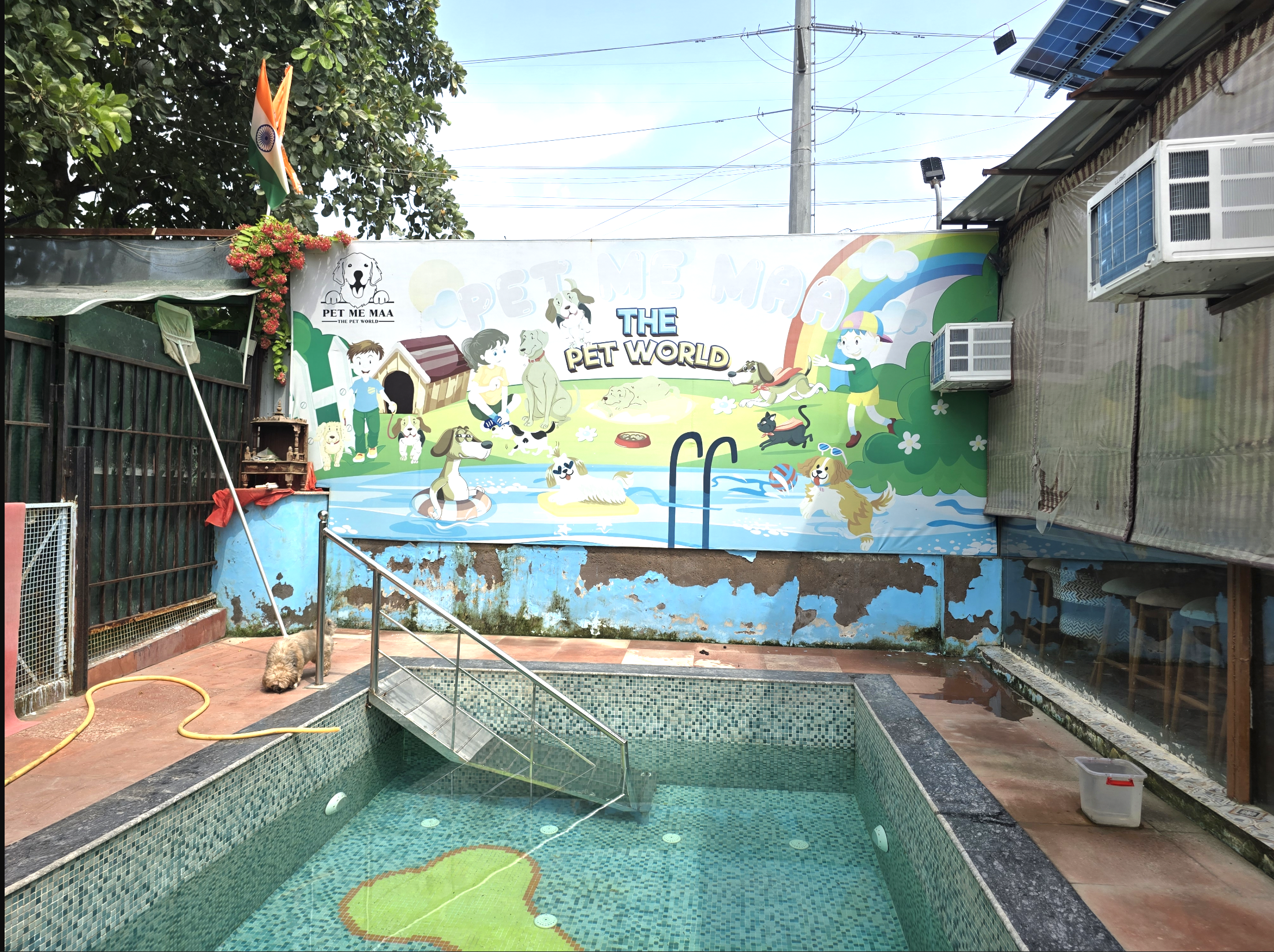 Cafe Pooch - Pet-Friendly Café in Noida