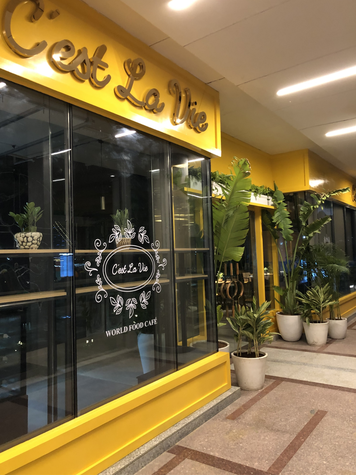 C'est La Vie World Food Cafe - Worldmark - Pet-Friendly Café in Gurugram