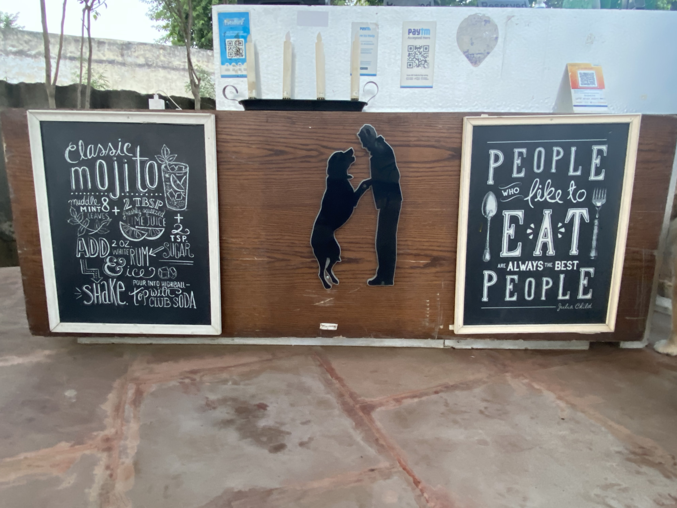 Fur Ball Story - Pet-Friendly Café in Gurugram