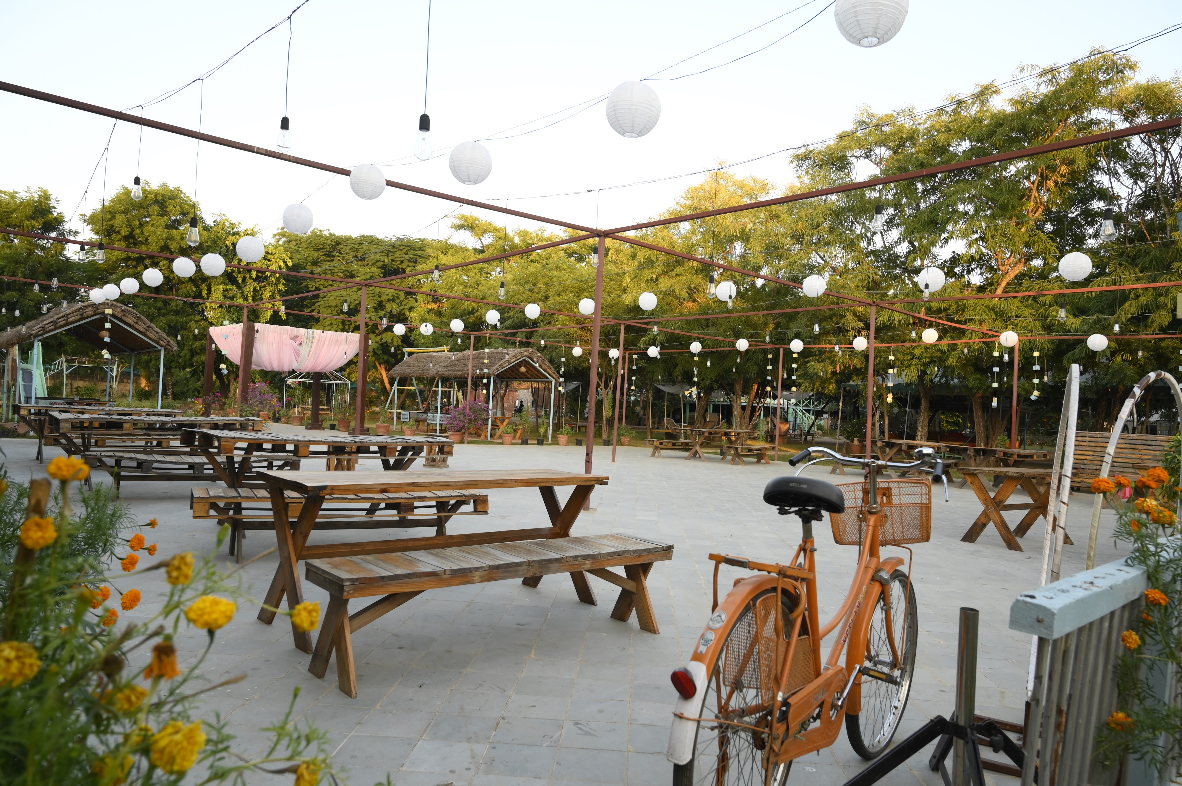 Stories- The Organic Farm Cafe - Pet-Friendly Café in Jaipur
