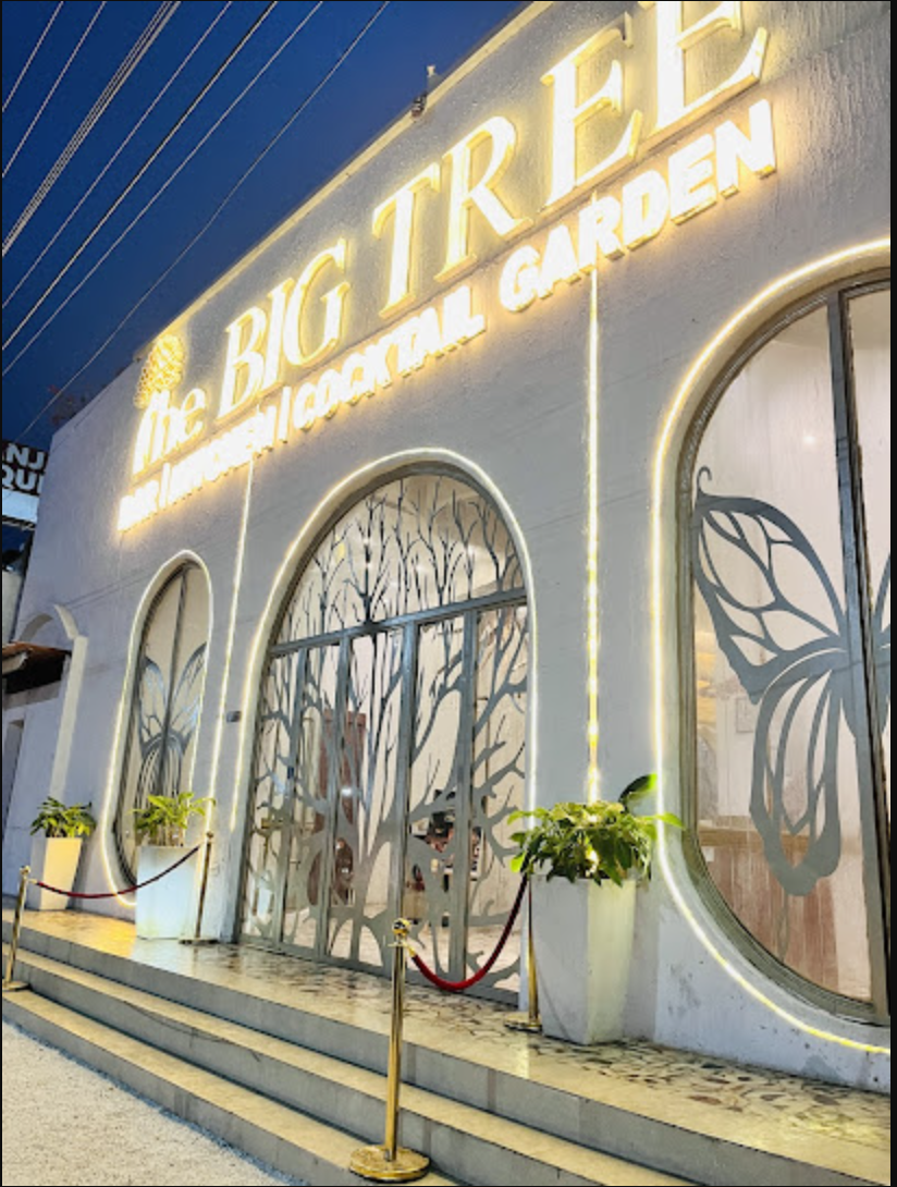 The Big Tree Cafe - Pet-Friendly Café in Jaipur