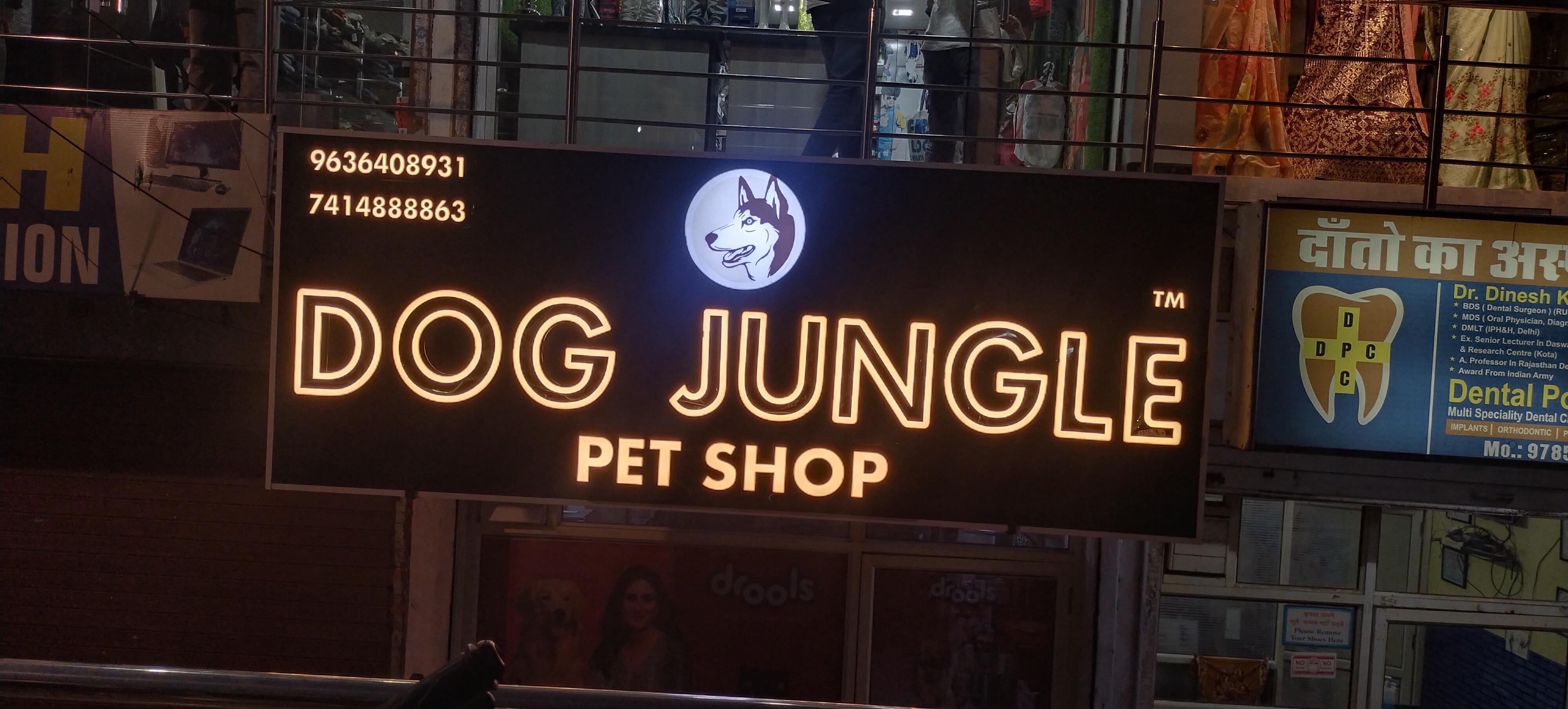 Dog Jungle