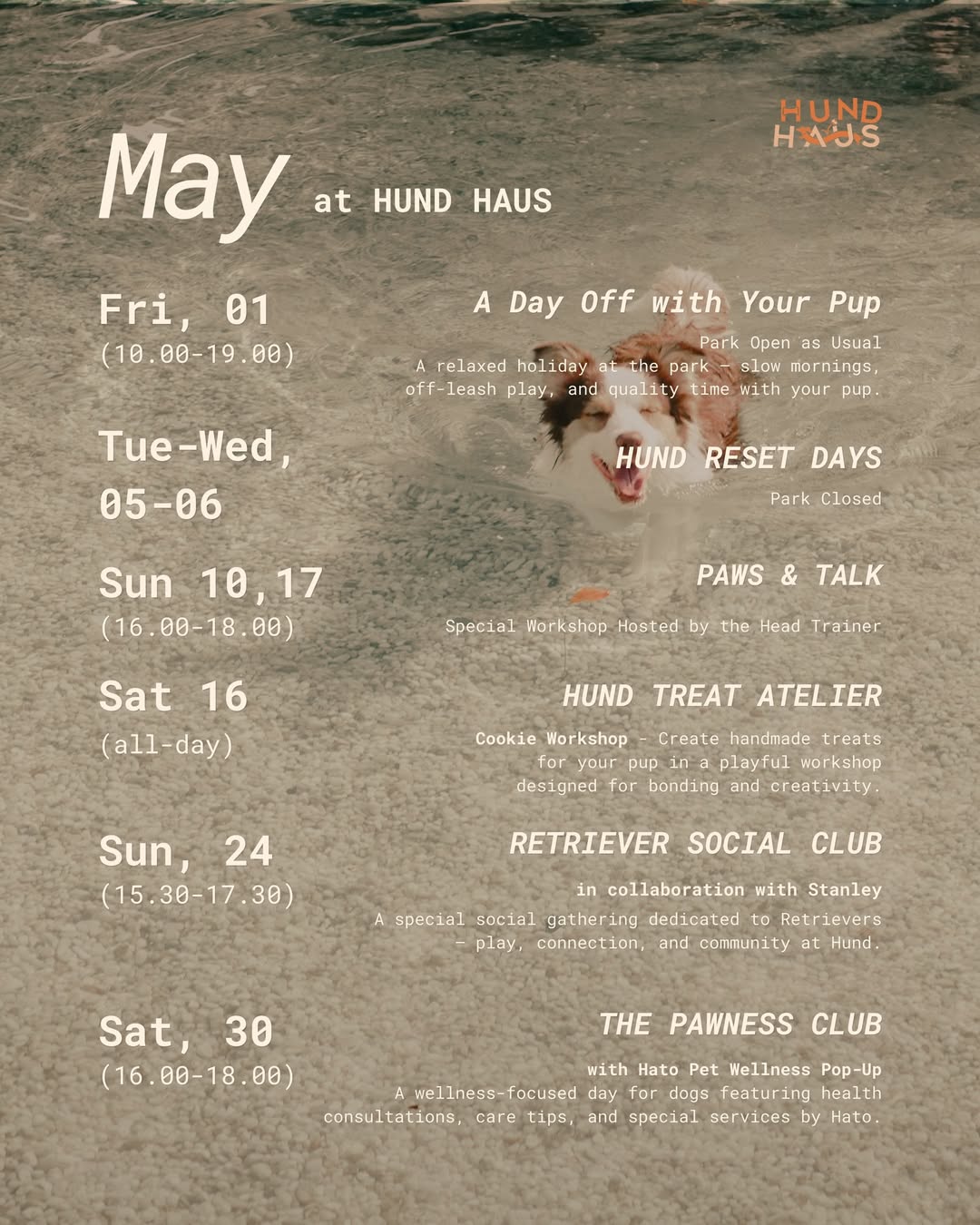 The PAWNESS Club