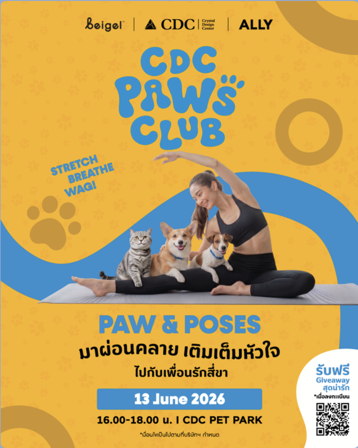 CDC PAWS CLUB x Beigel