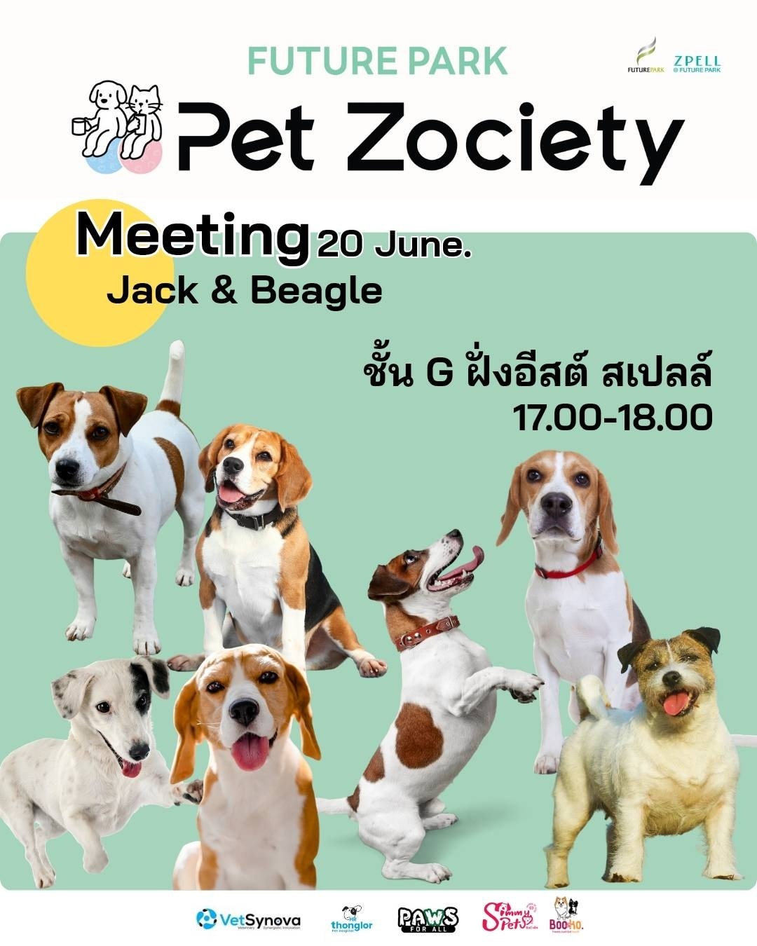 Pet Zociety - Jack Russell & Beagle